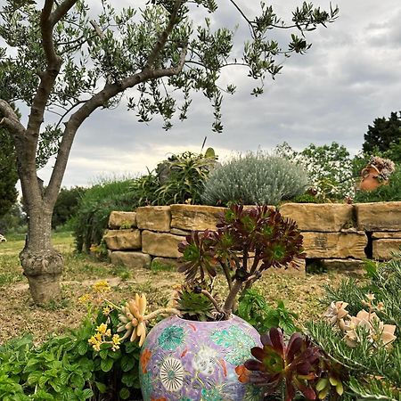 Istrian Green House ポルトローシュ エクステリア 写真