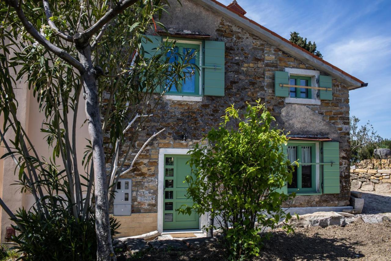 Istrian Green House ポルトローシュ エクステリア 写真