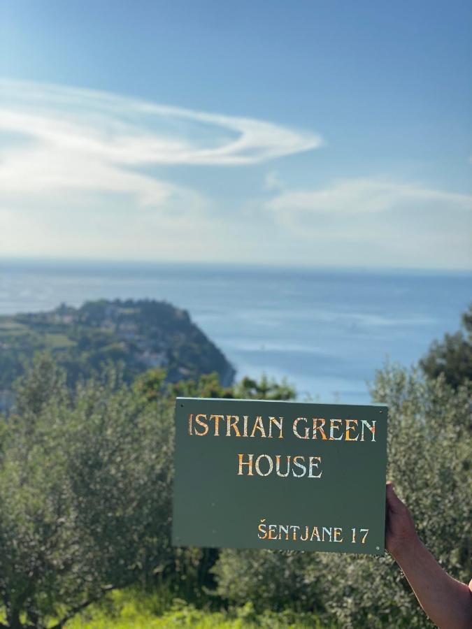 Istrian Green House ポルトローシュ エクステリア 写真