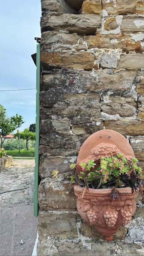 Istrian Green House ポルトローシュ エクステリア 写真
