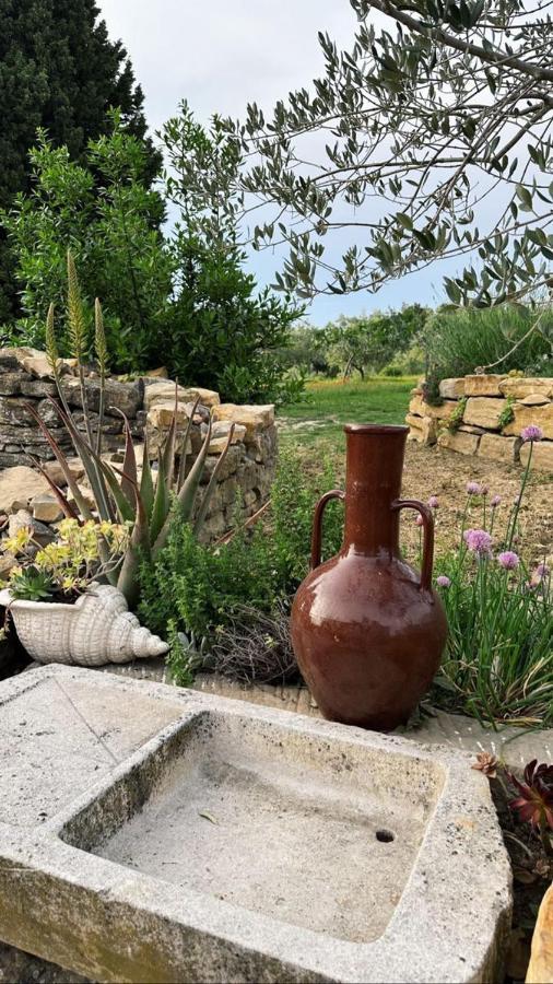 Istrian Green House ポルトローシュ エクステリア 写真