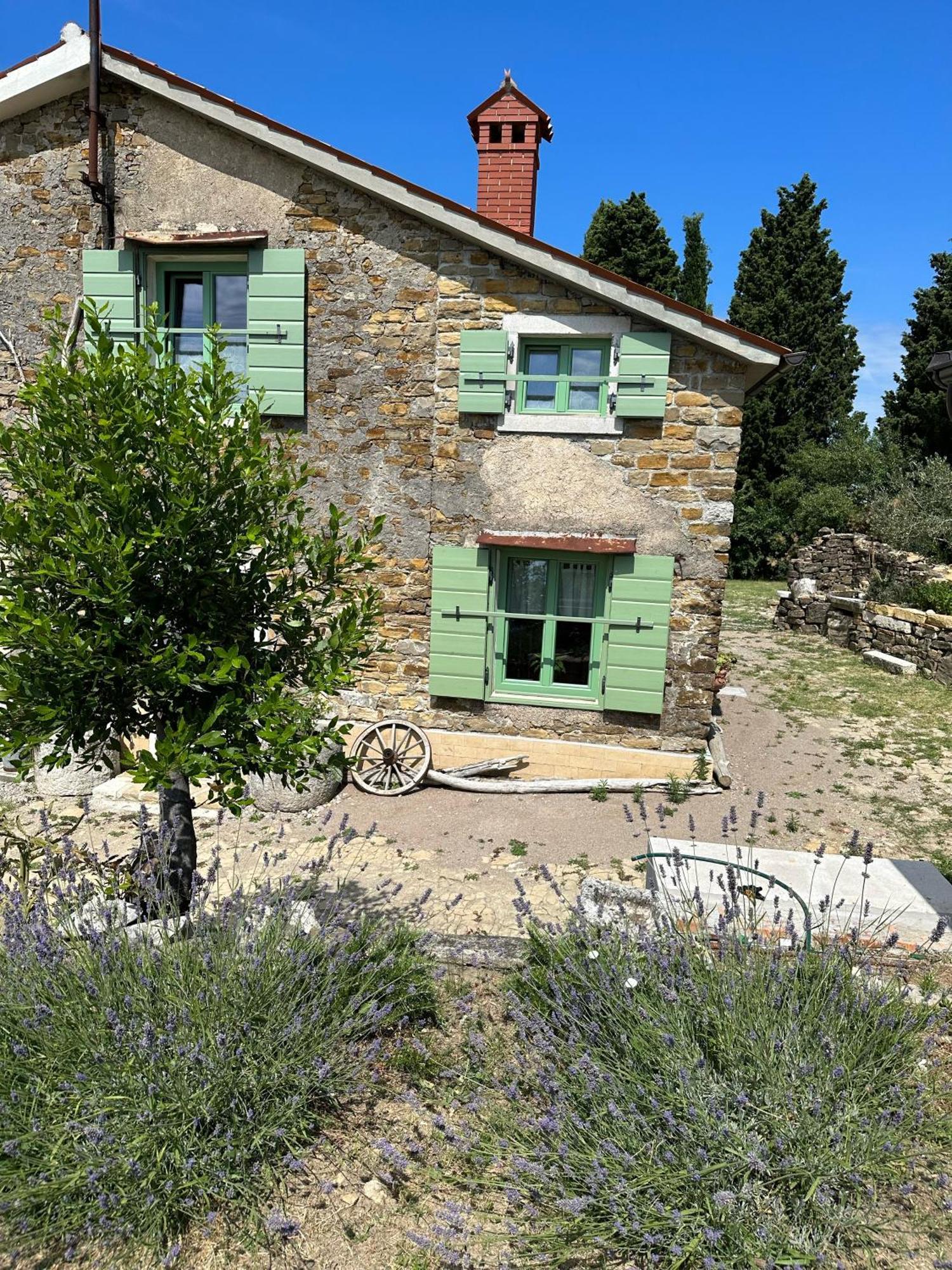 Istrian Green House ポルトローシュ エクステリア 写真