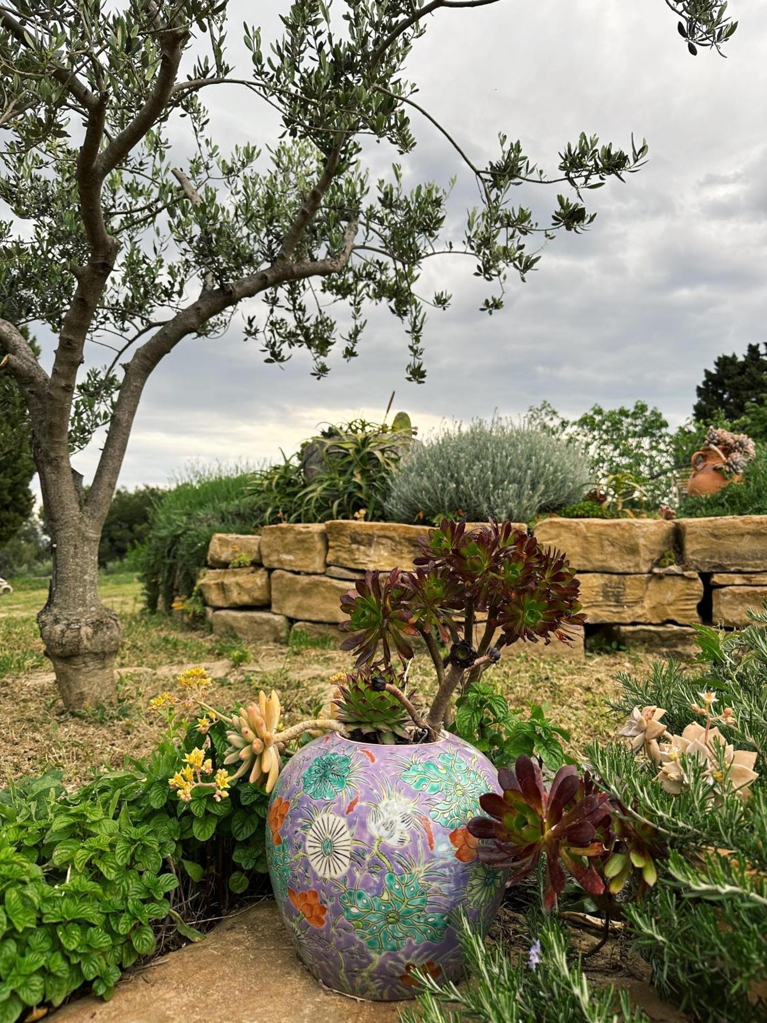 Istrian Green House ポルトローシュ エクステリア 写真